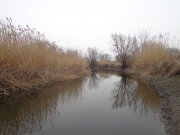 DSC01850.JPG