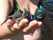 IMG_0221.JPG