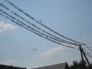 IMG_0277.JPG
