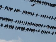 IMG_0279.JPG