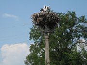 IMG_0293.JPG