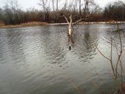 DSC09776.JPG