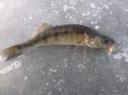 DSCF6259.JPG