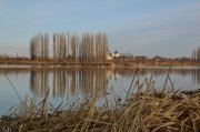 DSC_0006-4.jpg