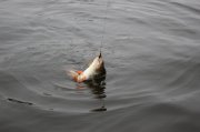 IMG_7893.JPG