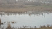 IMG_1961.jpg
