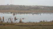 IMG_1962.jpg