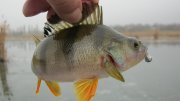 IMG_1963.jpg