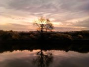 IMAG1623-1.jpg