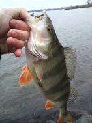 IMG_20140107_100659_0.jpg