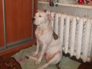 DSCF6335.JPG