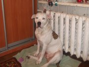 DSCF6334.JPG