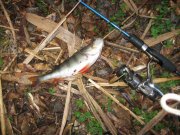 IMG_0077.jpg