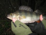 IMG_0078.jpg