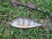 IMG_0079.jpg