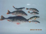 IMG_0144.JPG