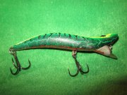 IMG_1052.jpg