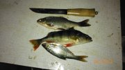 IMG_20131208_161028.jpg