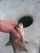 IMG_0053.JPG