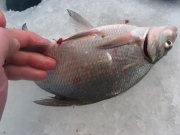 IMG_0052.JPG