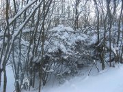 IMG_0064.JPG