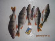IMG_0179.JPG