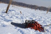 IMG_2311.jpg