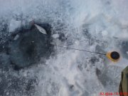 DSC01317.JPG