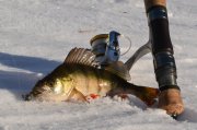 DSC_0102-27.jpg