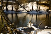 DSC_0103-28.jpg