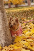 DSC07229.JPG