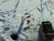 P05-02-14_14.06.jpg