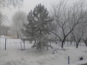 Photo-0014.jpg