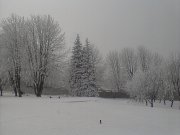 Photo-0016.jpg