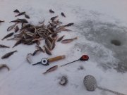 P07-02-14_15.54.jpg