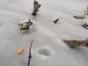DSCF3668.JPG