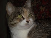 Изображение 086.jpg