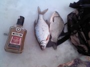 IMG010.jpg