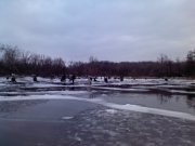IMG011.jpg