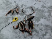 IMG_1001.JPG