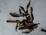 IMG_1005.JPG
