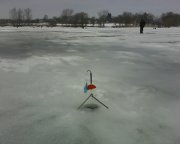 IMG0220A.jpg