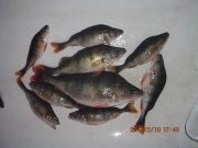IMG_0201.JPG