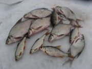 IMG_0091.JPG