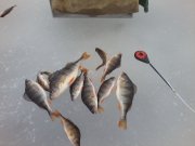 P15-02-14_13.56.jpg