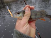 DSC02006.JPG