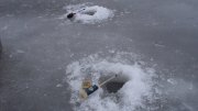 DSC05787.JPG