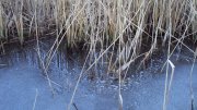 DSC05793.JPG