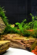 DSC_0009-6.jpg