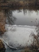 IMG_20140219_081422.jpg